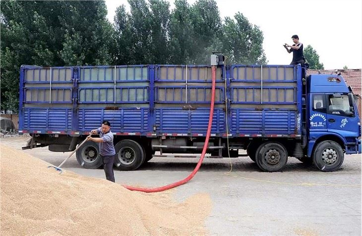 Grain Suction